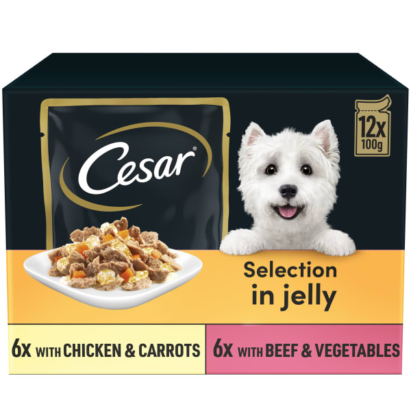Image of Cesar Deliciously Fresh Adult Wet Dog Food Pouches - Mixed Selection in Jelly, 12 x 100g - Mixed Selection in Jelly