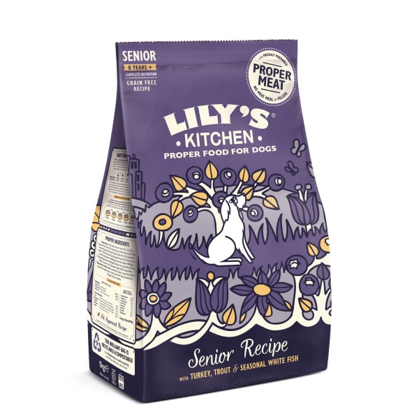 Image of Lily's Kitchen Adult 8+ Scottish Gluten Free Dry Dog Food - Salmon & Trout, 2.5kg - Salmon & Trout