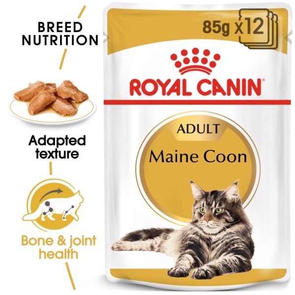 Image of Royal Canin Maine Coon Adult Cat Wet Food in Gravy, 12 x 85g - Gravy