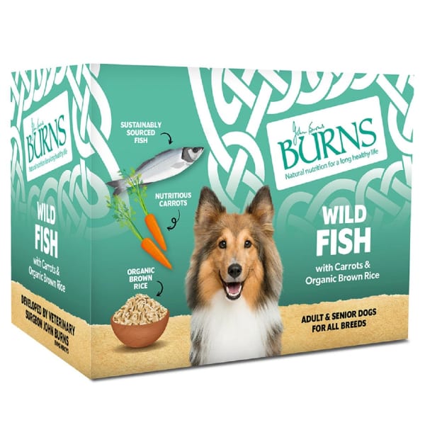 Image of Burns Adult and Senior Wet Dog Food - Wild Fish with Carrots & Organic Brown Rice, 6 x 395g