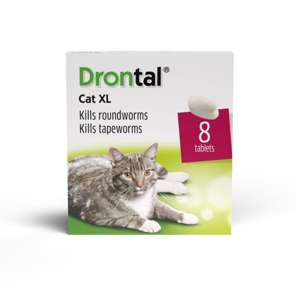 Image of Drontal Wormer Tablets for Large Cats (Over 4kg), 8 per Pack