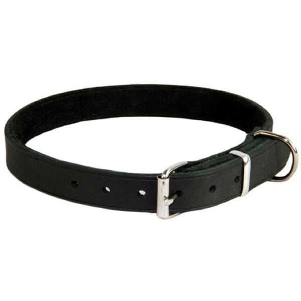 Image of Earthbound Soft Country Leather Black Dog Collar, Small