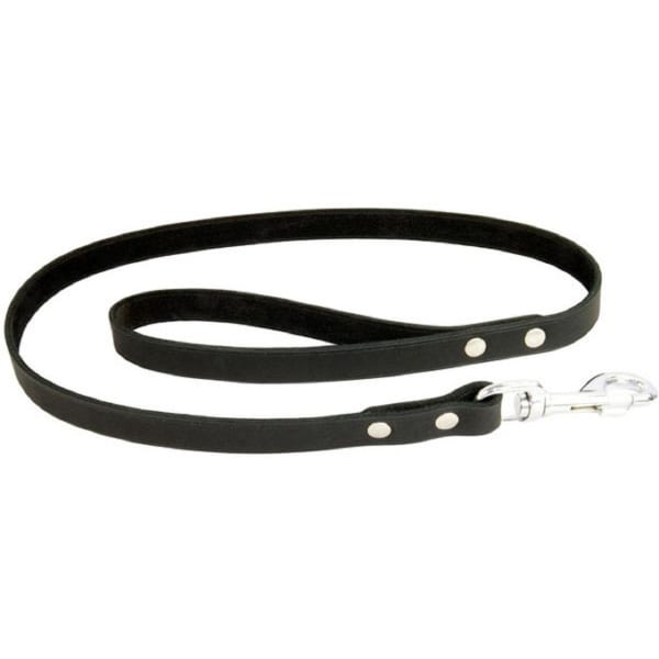 Image of Earthbound Soft Country Leather Black Dog Lead, Large