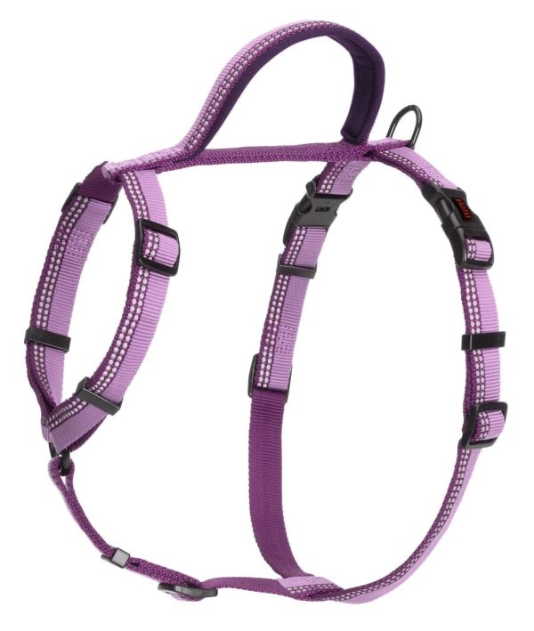 Image of Halti Purple Dog Walking Harness, Small - 43cm - 60cm