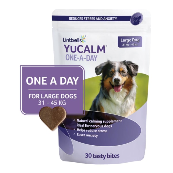 Image of YuMOVE One-A-Day Calming Care Supplement for Large Dogs, 30 Per Pack