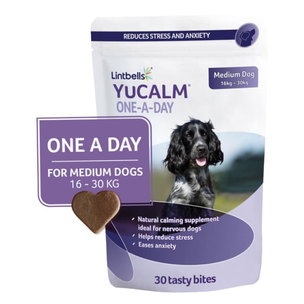 Image of YuMOVE One-A-Day Calming Care Supplement for Medium Dogs, 30 Per Pack