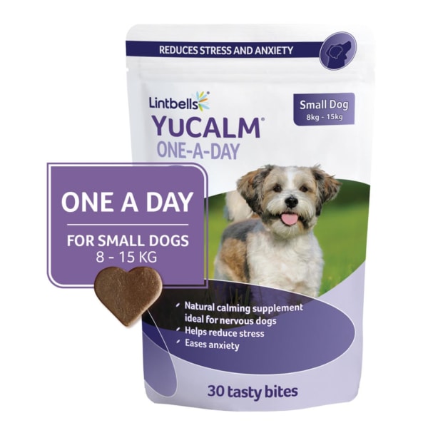 Image of YuMOVE One-A-Day Calming Care Supplement for Small Dogs, 30 Per Pack