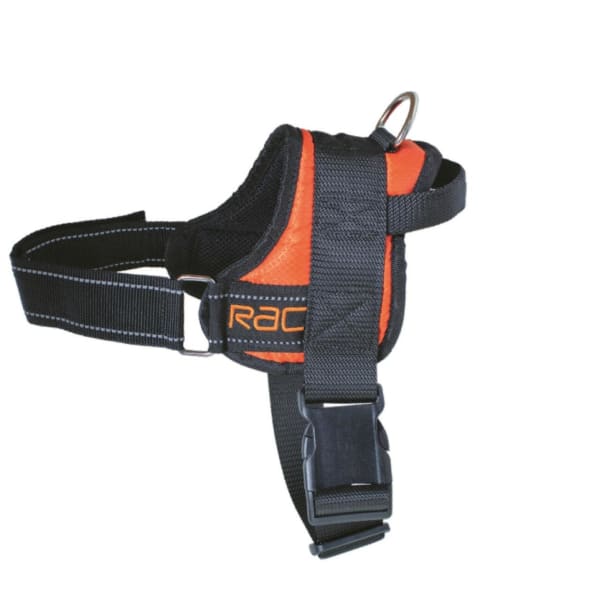 Image of RAC Advanced Walking Harness, Small
