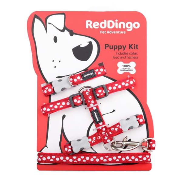 Image of Red Dingo White Spot On Red Puppy Pack, Extra Small