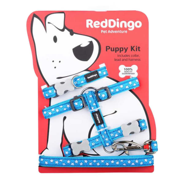 Image of Red Dingo White Star on Turquoise Puppy Pack, Extra Small