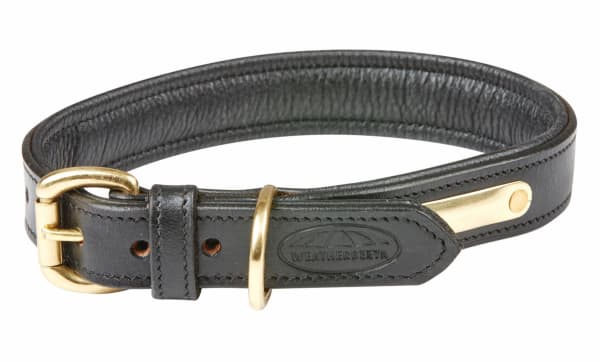 Image of Weatherbeeta Padded Leather Dog Collar in Black, Extra Small