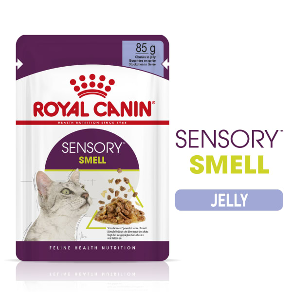 Image of Royal Canin Sensory Smell Wet Cat Food in Jelly, 12 x 85g - Jelly