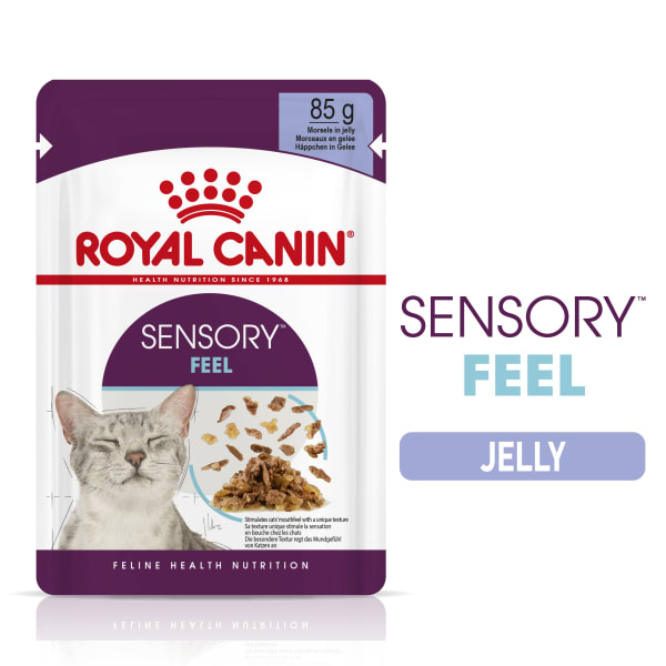 Image of Royal Canin Sensory Feel Wet Cat Food in Jelly, 12 x 85g - Jelly