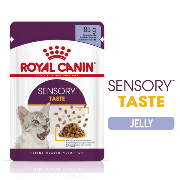 Image of Royal Canin Sensory Taste Wet Cat Food in Jelly, 12 x 85g - Jelly