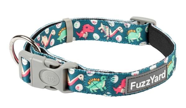 Image of FuzzYard Dinosaur Land Dog Collar, Medium