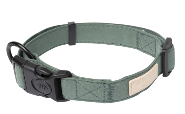 Image of FuzzYard Life Adjustable Dog Collar - Myrtle Green, Large