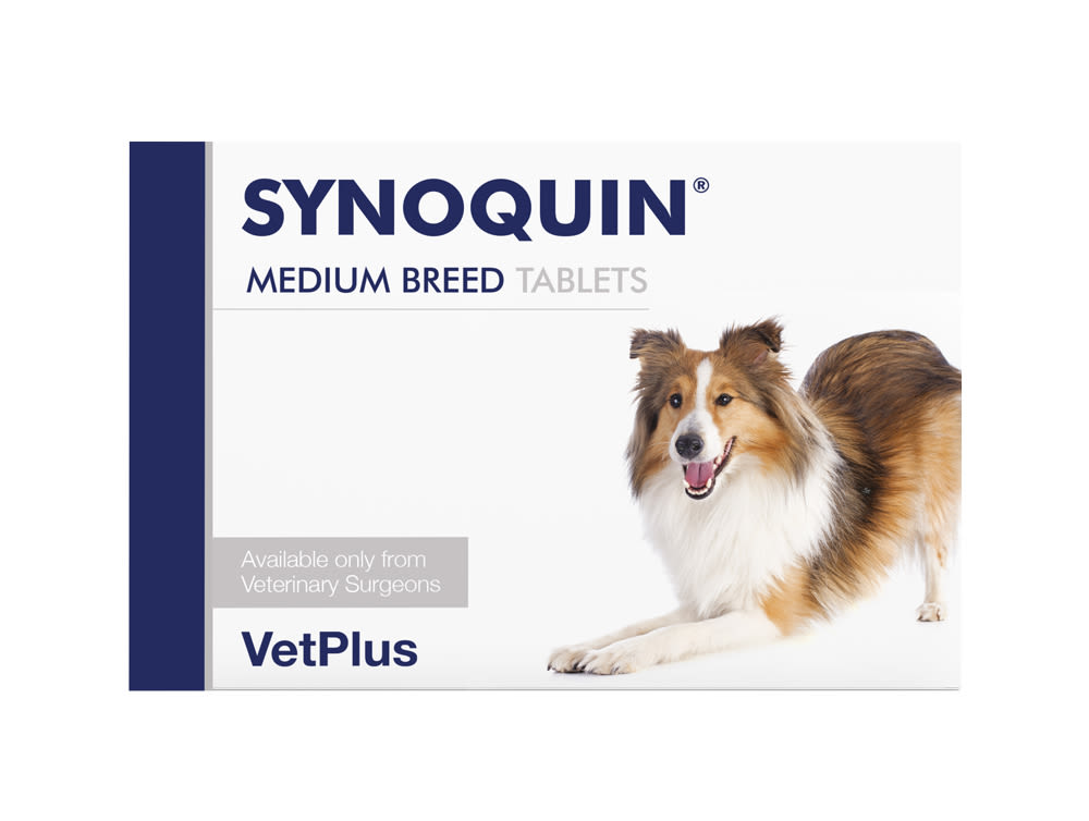 synoquin efa medium breed 120 tablets