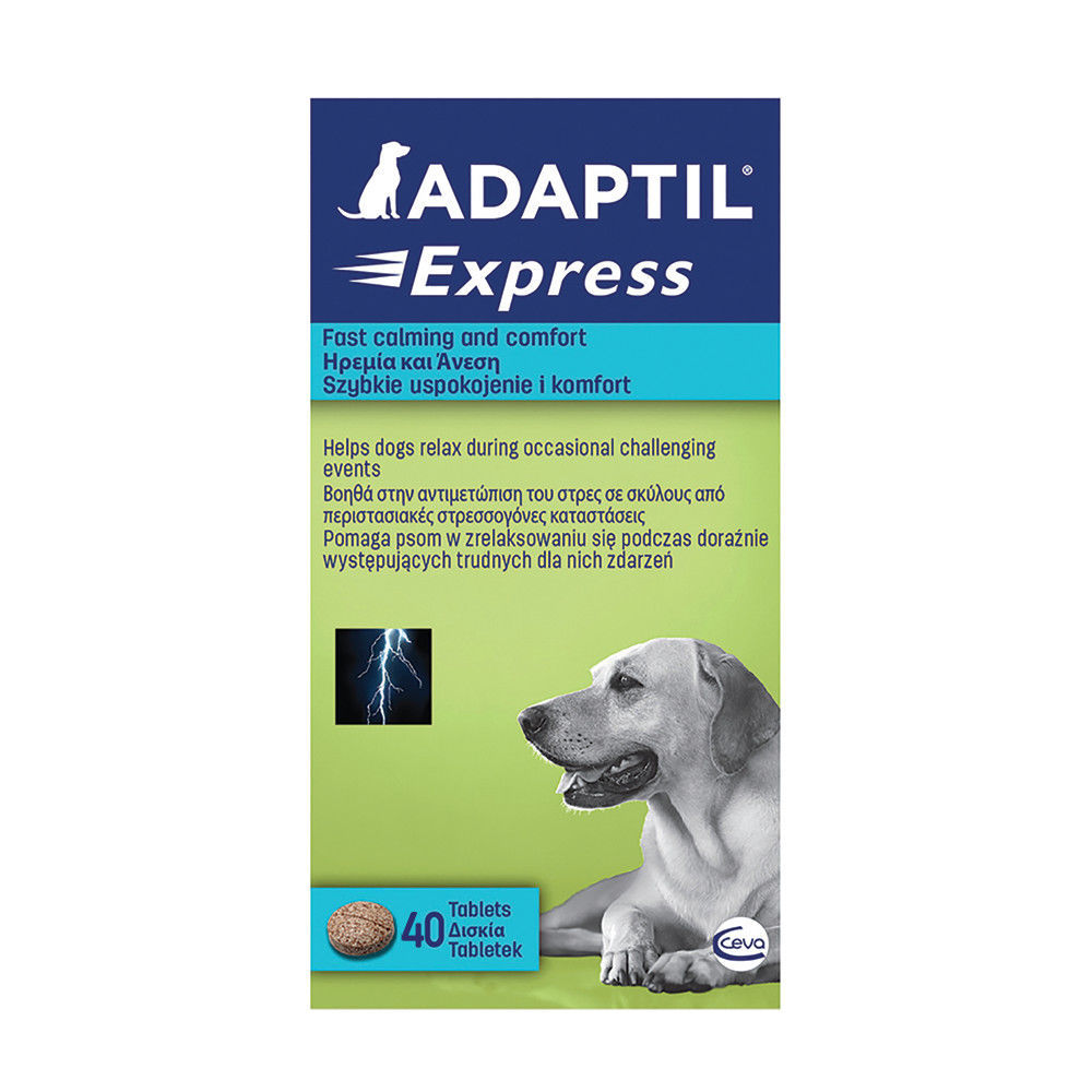 pet supermarket dog muzzle