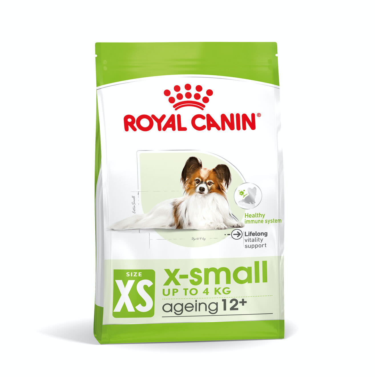 dog food for senior small dogs
