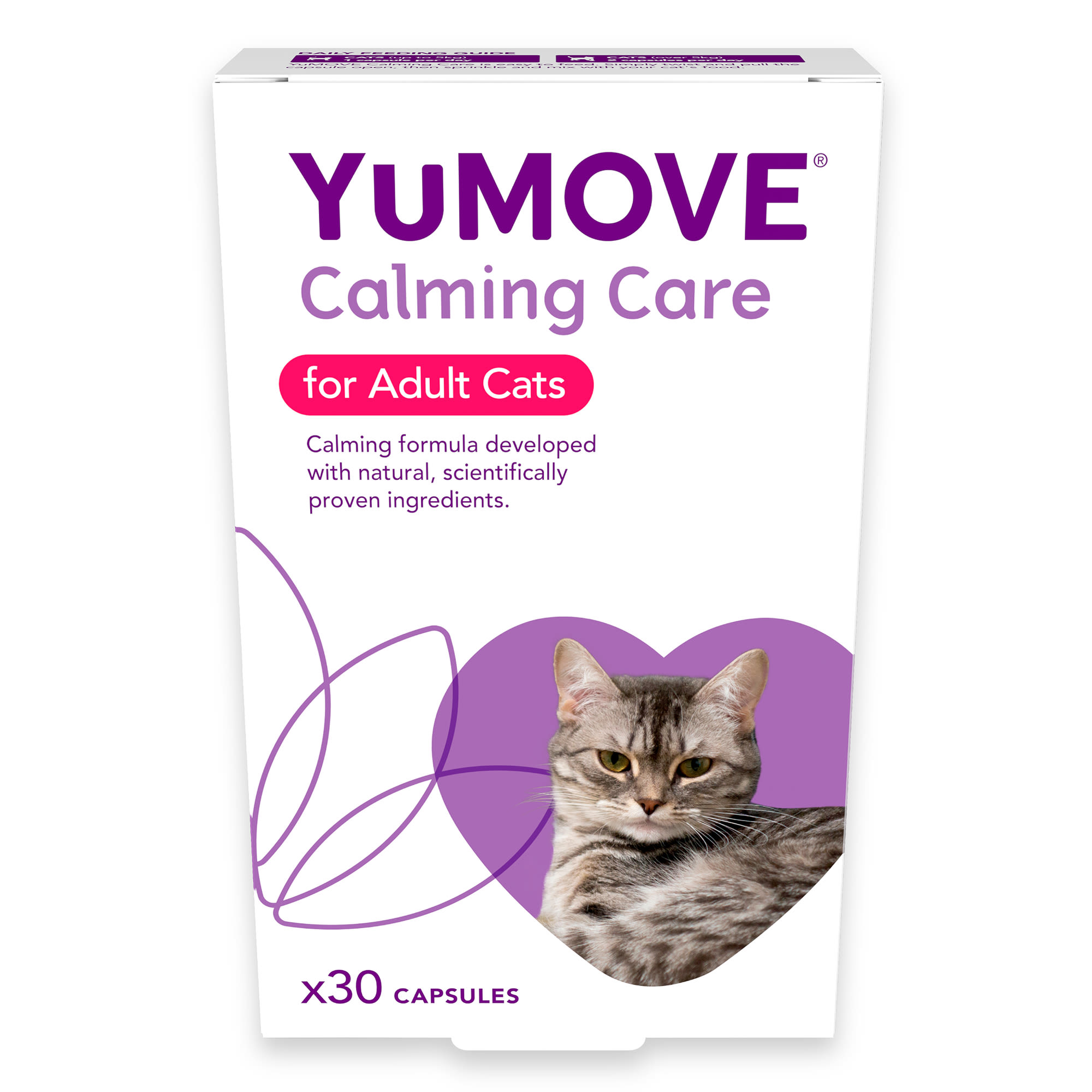 stress meds for cats