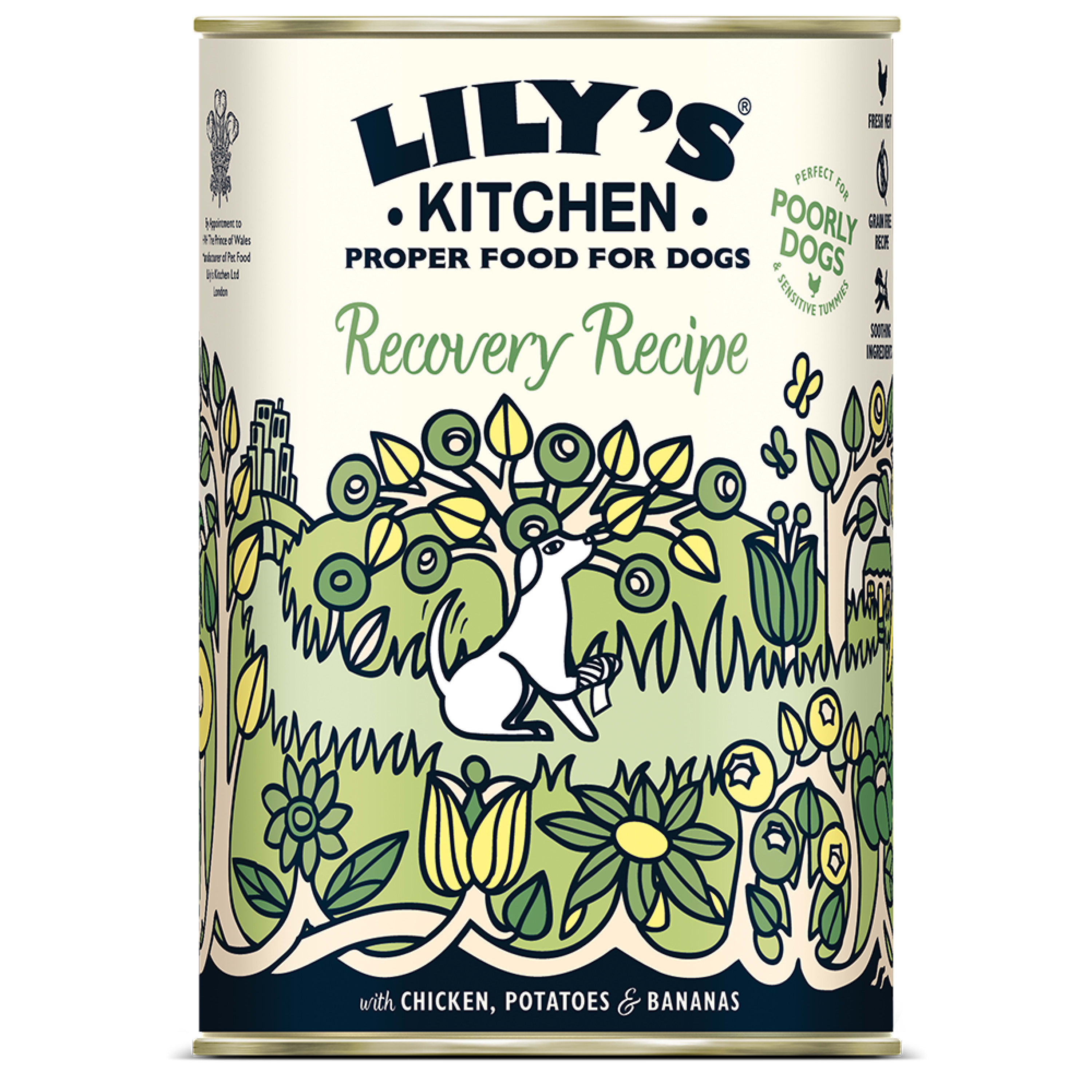 Lilys Kitchen Recovery Recipe For Pet Supermarketcouk