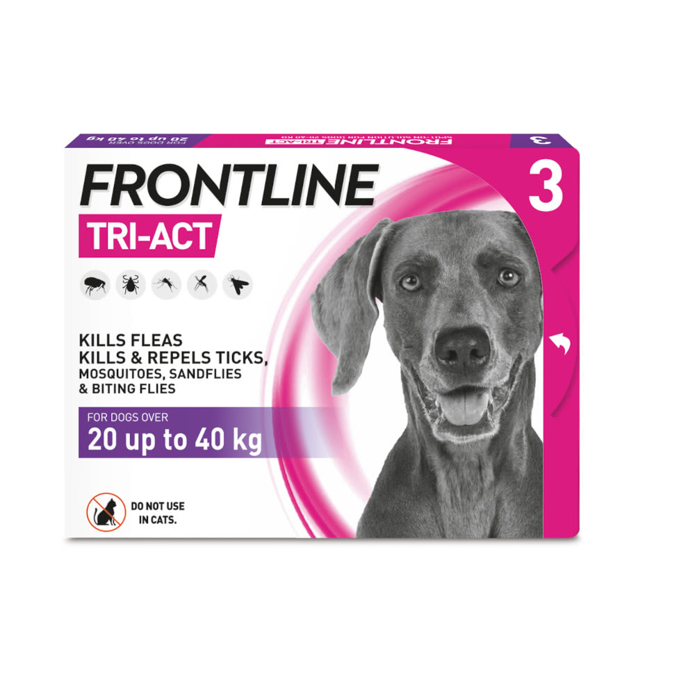 canine flea treatment